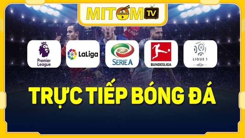 Mytom TV có tất tần tật các giải đấu bóng đá trên toàn thế giới