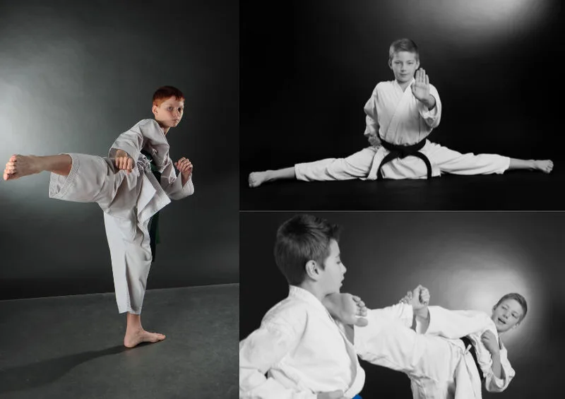 Các kỹ thuật karate cơ bản gồm đấm, đá, gạt đỡ, tấn pháp, di chuyển, kata và kumite.